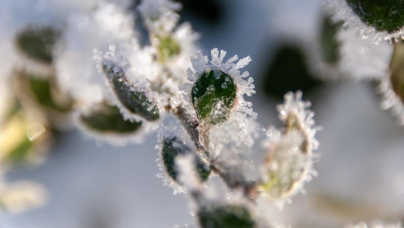 Ilustrační foto: Pixabay / CC0