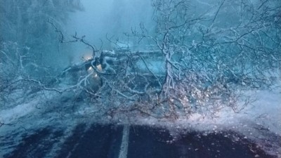 Hasiči, lesn&iacute;ci i spr&aacute;vci trat&iacute; varuj&iacute; před vstupem do lesů. V&yacute;jimkou je are&aacute;l v Lesn&eacute;