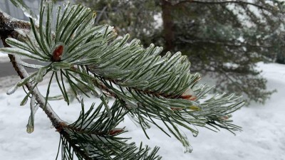 Meteorologové vydali opět varování: Připravte se na další ledovku!