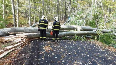 Silní vítr zaměstnává hasice hlavně v Ústeckém kraji. Foto: HZS Ústeckého kraje