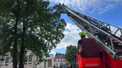 FOTO: Kočku ze stromu zachraňovaly tři hasičské jednotky. Použily i výškovou techniku