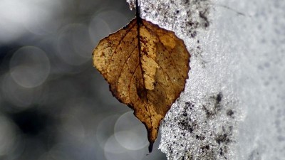 Ani noci už nebudou mraziv&eacute;, přich&aacute;z&iacute; obleva Romina