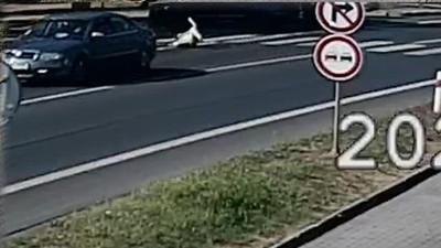 VIDEO: Auto v plné rychlosti sráží ženu na přechodu v Žatci! Nevíte, komu vůz patří?