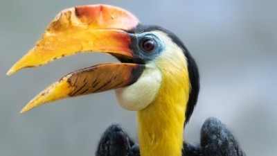 Zoo v Ústí se pyšní světovým prvenstvím! Jaký vzácný odchov ji vynesl do čela?