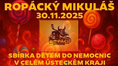 Hokej a dobrá věc: Litvínovští fanoušci chystají dárky pro děti v nemocnicích