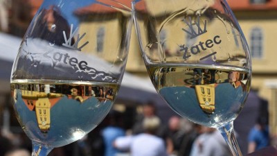 Prvn&iacute; žateck&yacute; festival v&iacute;na se v sobotu kon&aacute; už potřet&iacute;
