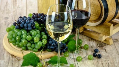 CO SE CHYSTÁ: Podzimní slavnost vína, hudby a skvělých chutí se vrací! V Březně se chystá tradiční vinobraní